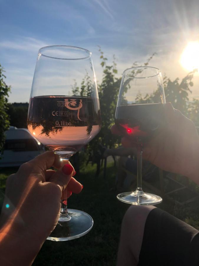 Aurum Apartment Kirchheim am Neckar Zewnętrze zdjęcie