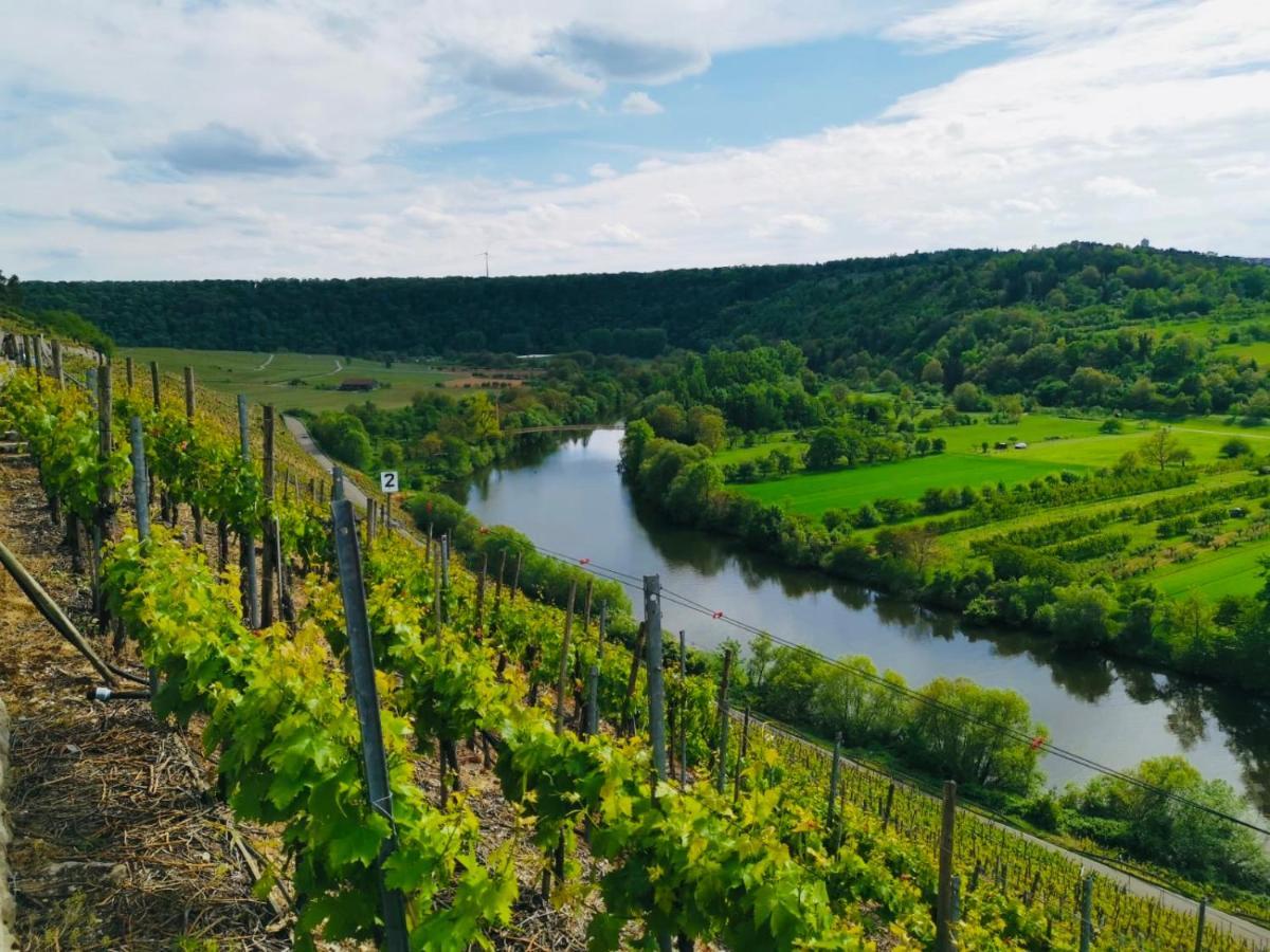 Aurum Apartment Kirchheim am Neckar Zewnętrze zdjęcie